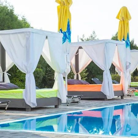 Ambasador مامايا